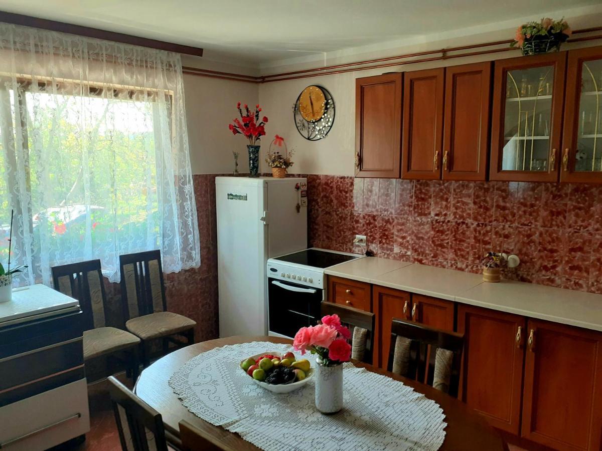 Domacinstvo Sindelic Hotel Ivanjica Ngoại thất bức ảnh